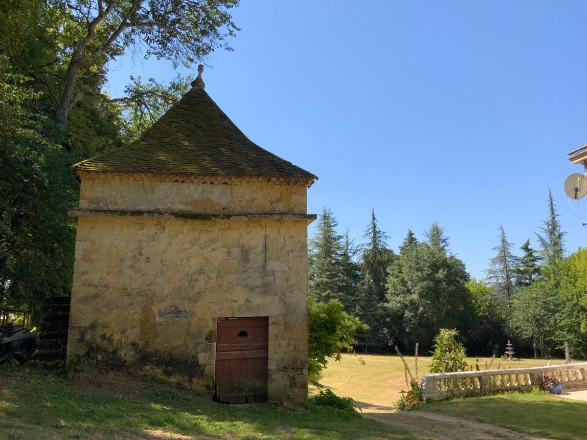 Chateau D'Argentonesse Castels Exterior photo